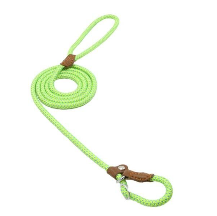 Heavy Duty Nylon - Pet Lead & Collar Set