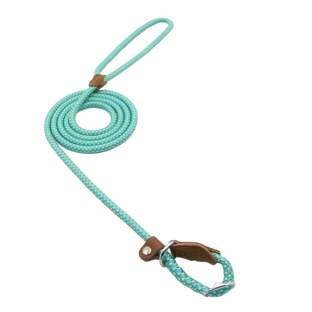 Heavy Duty Nylon - Pet Lead & Collar Set