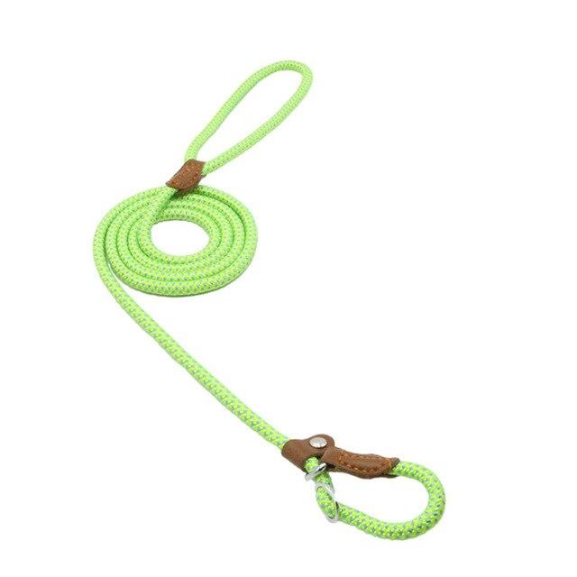 Heavy Duty Nylon - Pet Lead & Collar Set