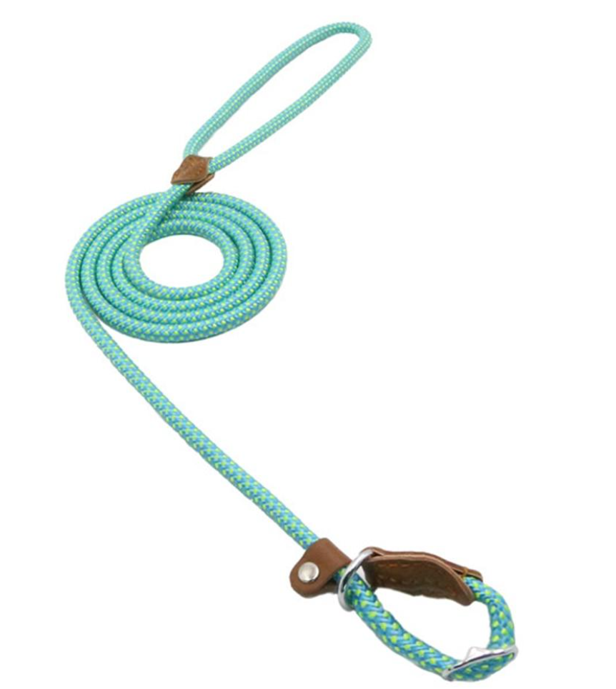 Heavy Duty Nylon - Pet Lead & Collar Set