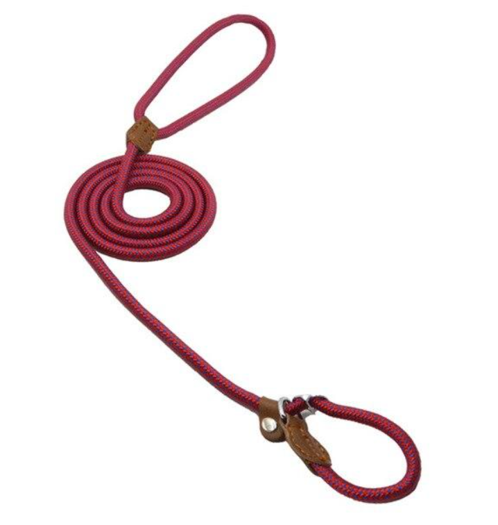 Heavy Duty Nylon - Pet Lead & Collar Set