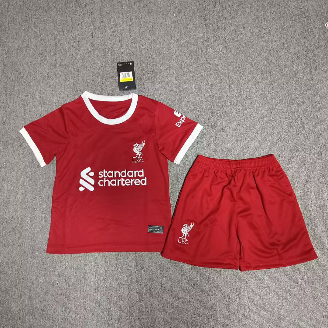 Soccer Jerseys for Kids and Adults - Various Teams