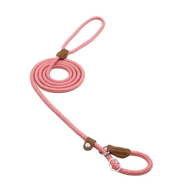 Heavy Duty Nylon - Pet Lead & Collar Set