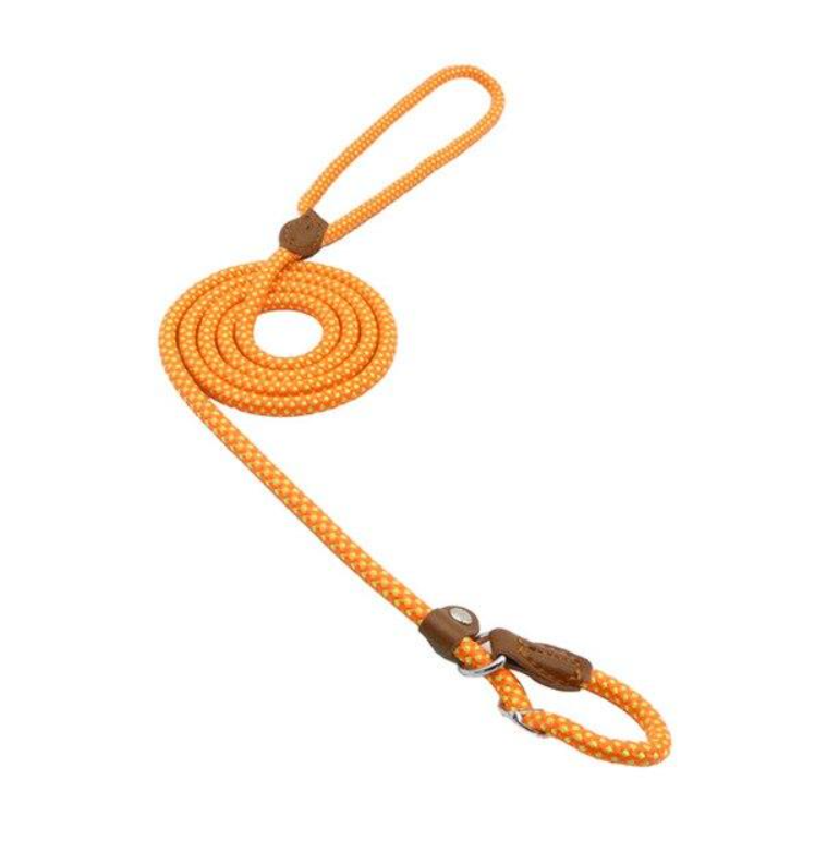 Heavy Duty Nylon - Pet Lead & Collar Set