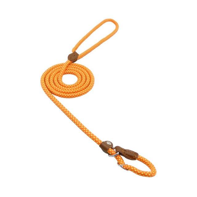 Heavy Duty Nylon - Pet Lead & Collar Set
