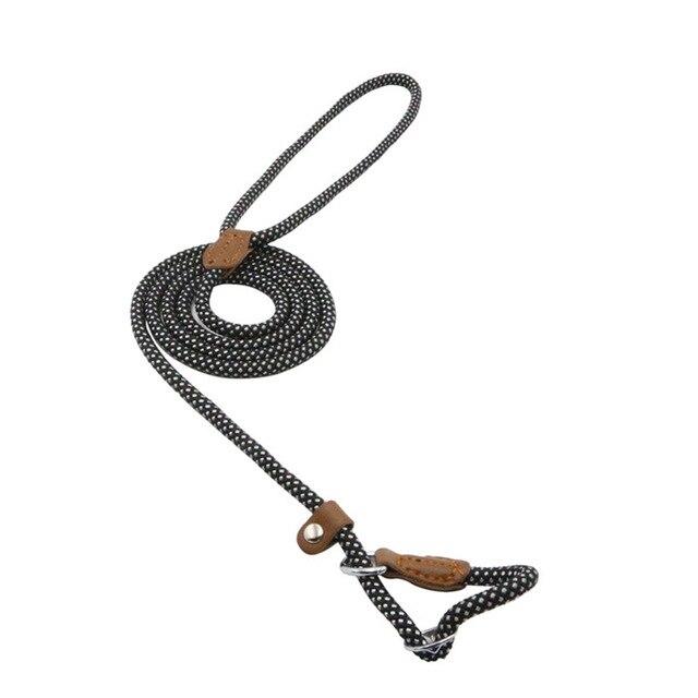 Heavy Duty Nylon - Pet Lead & Collar Set