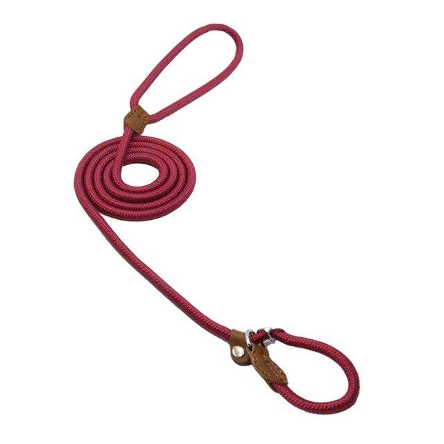 Heavy Duty Nylon - Pet Lead & Collar Set