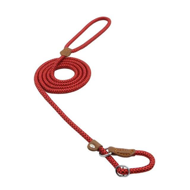 Heavy Duty Nylon - Pet Lead & Collar Set